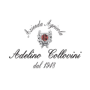 Adelino Collovini